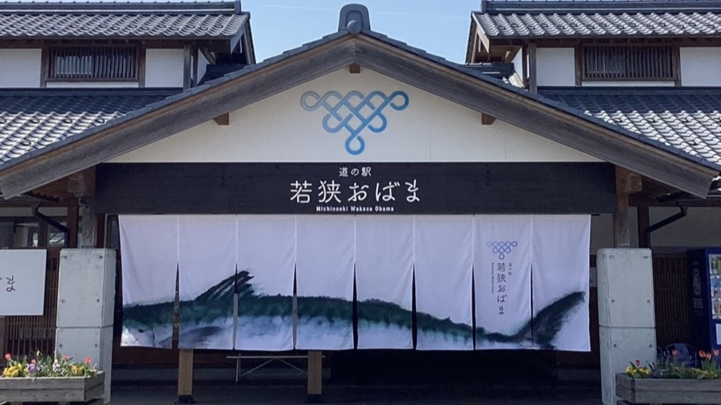 【青々吉日】【ふぐ紀行】ふぐの甘みと旨味を楽しむ！ふぐ刺し・ふぐちり鍋・ふぐ唐揚げ・釜飯など