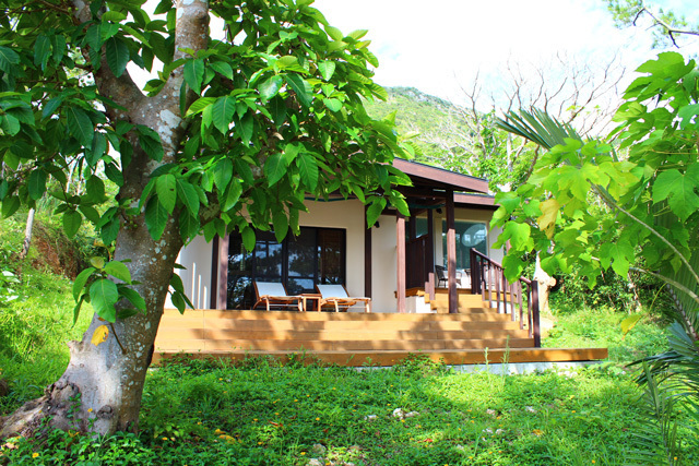 Sea Forest(Ishigakijima) Main Image Sea Forest(Ishigakijima), Ishigaki