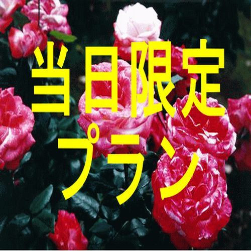 当日限定プラン