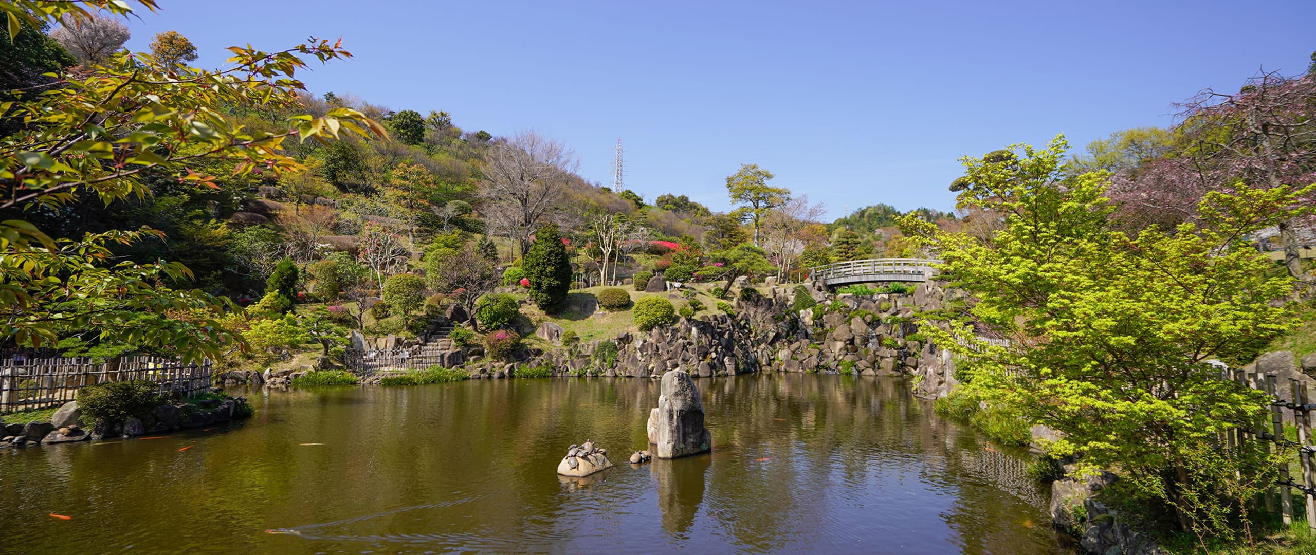 冠山総合公園キャンプ場