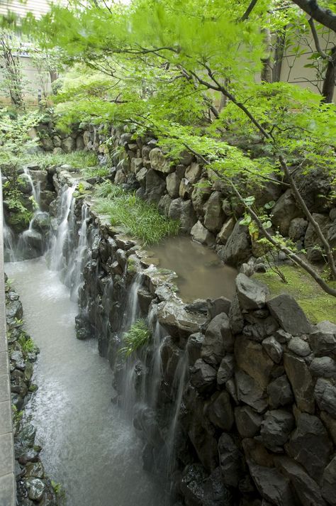 ロビーラウンジからの庭の眺めです