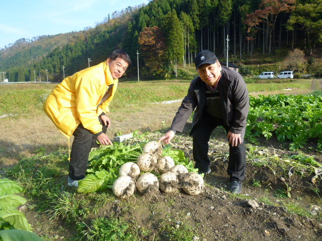 “;無農薬栽培”;美山の契約農園さんで新鮮な野菜を仕入れる料理長です