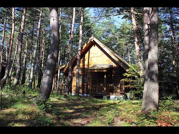 国立公園の自然に囲まれたプライベートコテージ（ログタイプ）外観６