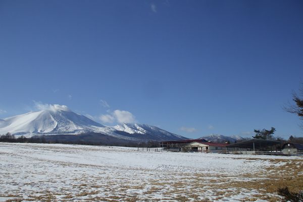 冬の浅間山（大好きな牧草地から）①