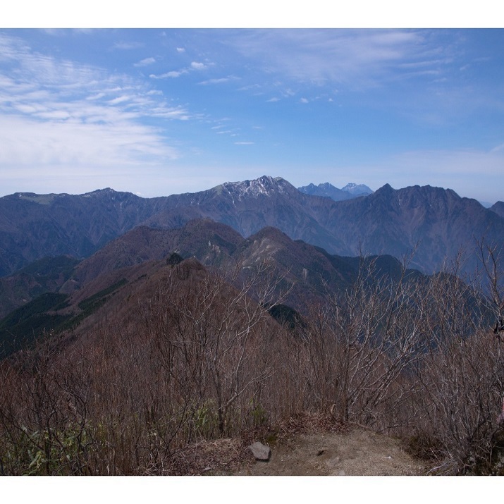 【西赤石山】アケボノツツジ、ミツバツツジなど７０種余りが繁茂する全国屈指の高山植物の宝庫です。