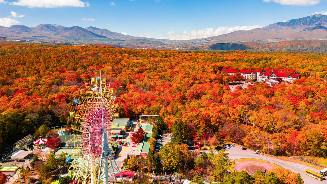 紅葉に染まる北軽井沢。例年の見頃は10月中旬〜下旬。軽井沢おもちゃ王国の観覧車から見る景色もオススメ