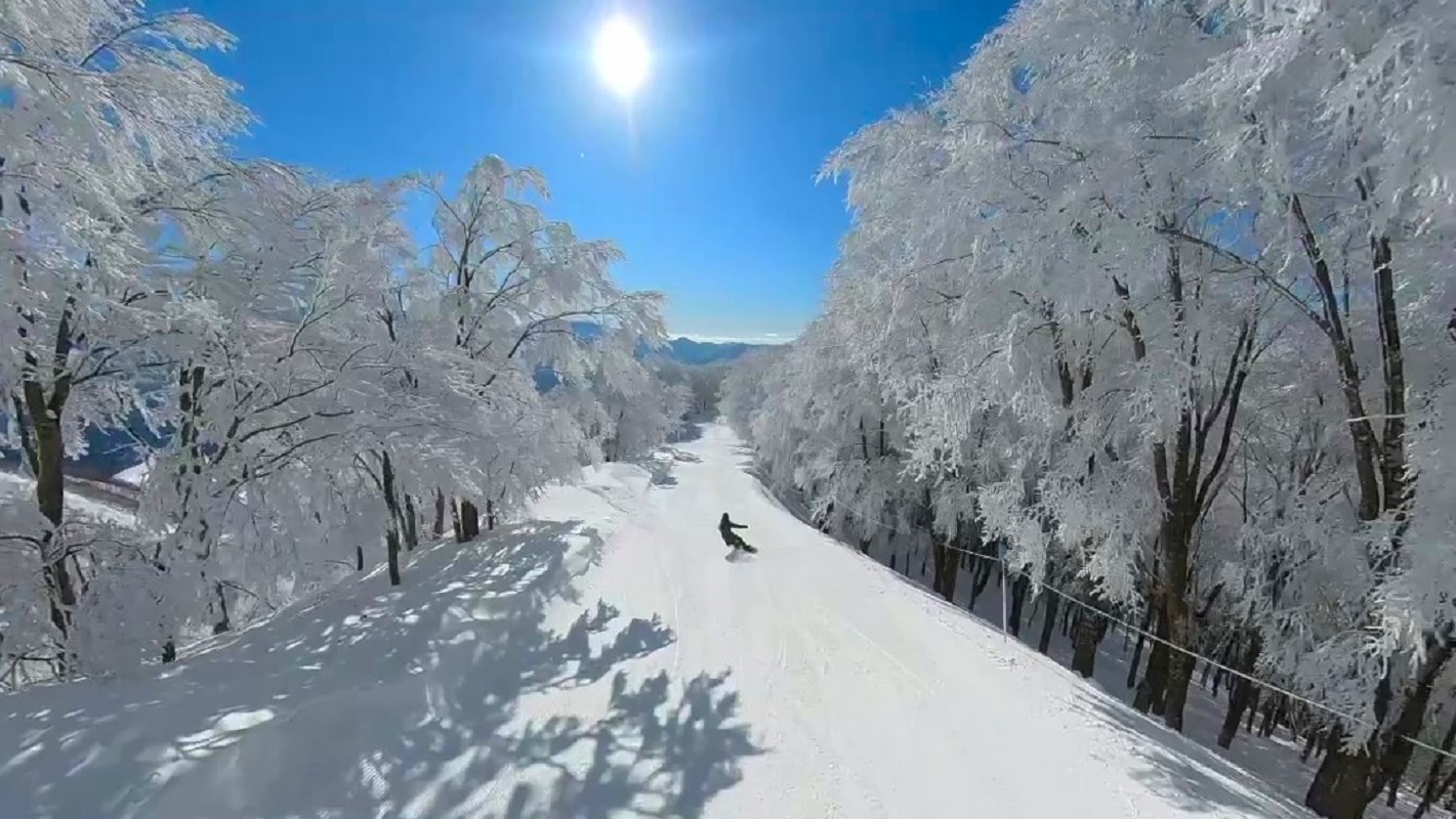 コルチナスキー場（樹氷）