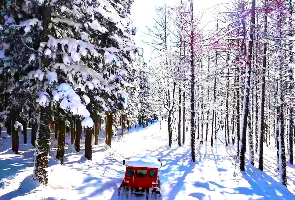 雪遊びパーク雪上車アドベンチャーライド