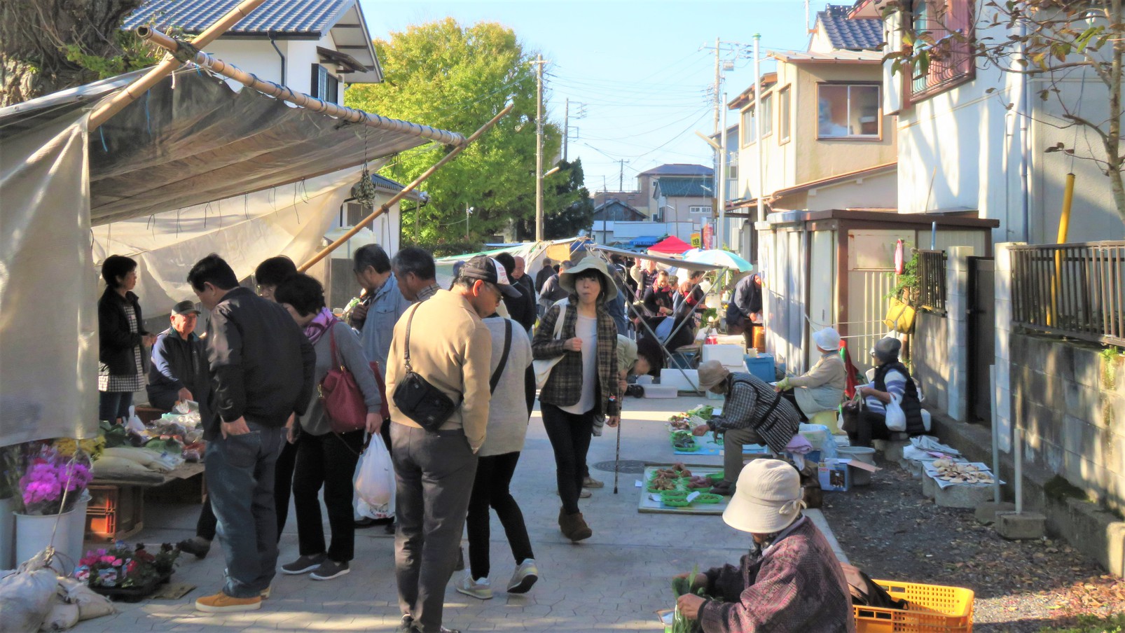 勝浦朝市