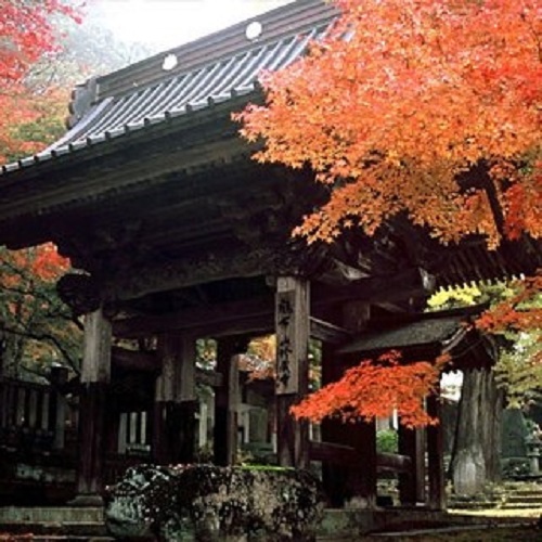 鶴布山珍蔵寺