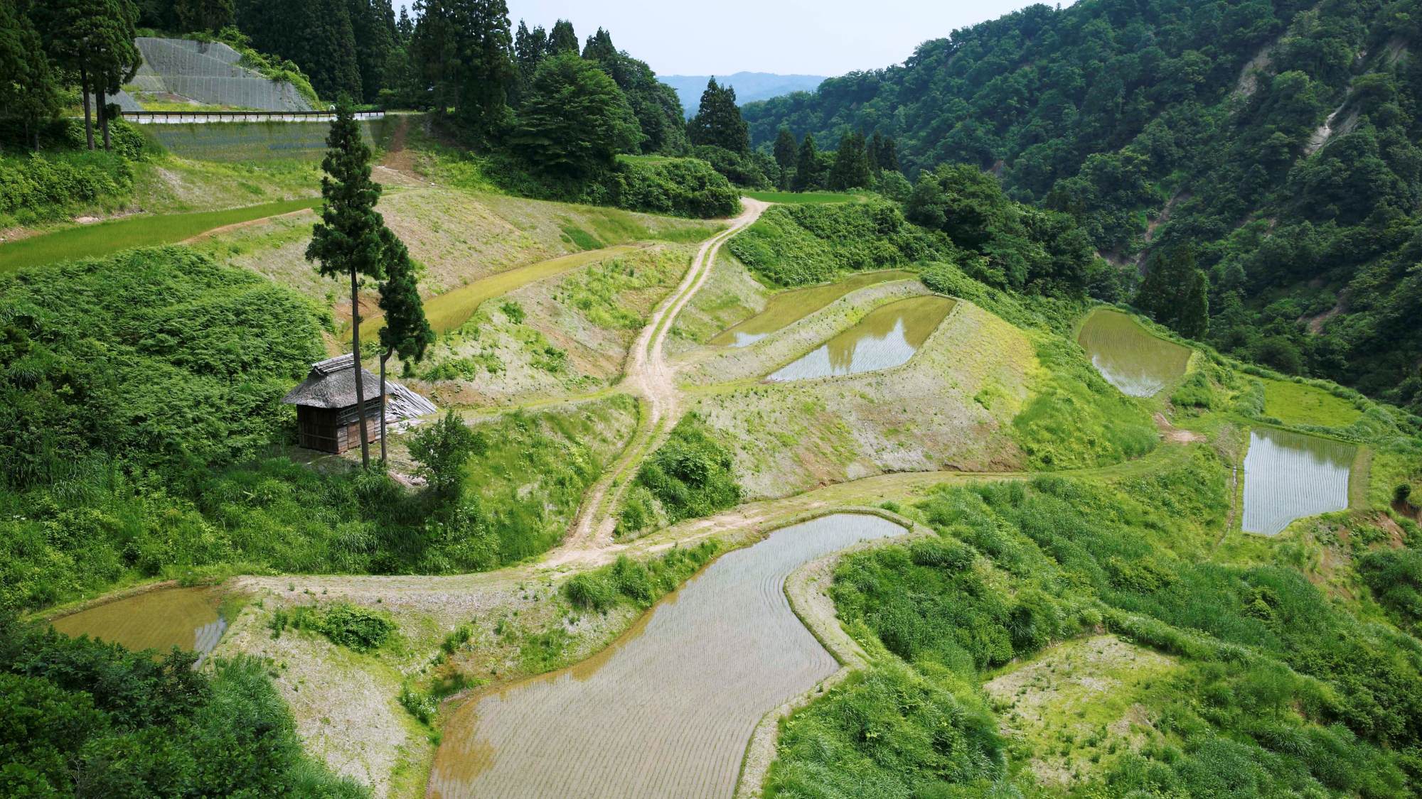 【棚田風景】日本の里百景に選ばれた美しい景色が広がります。