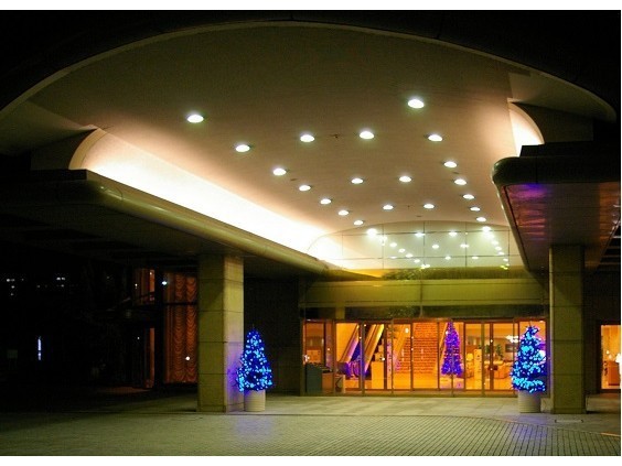 main entrance(The Christmas season)