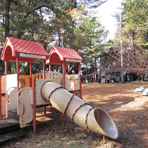 裏庭にある公園