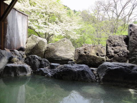 Nikko Yumoto Onsen Spa Village Kamaya Interior 2