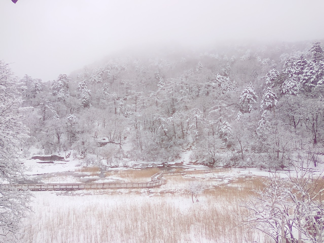 源泉の雪景色