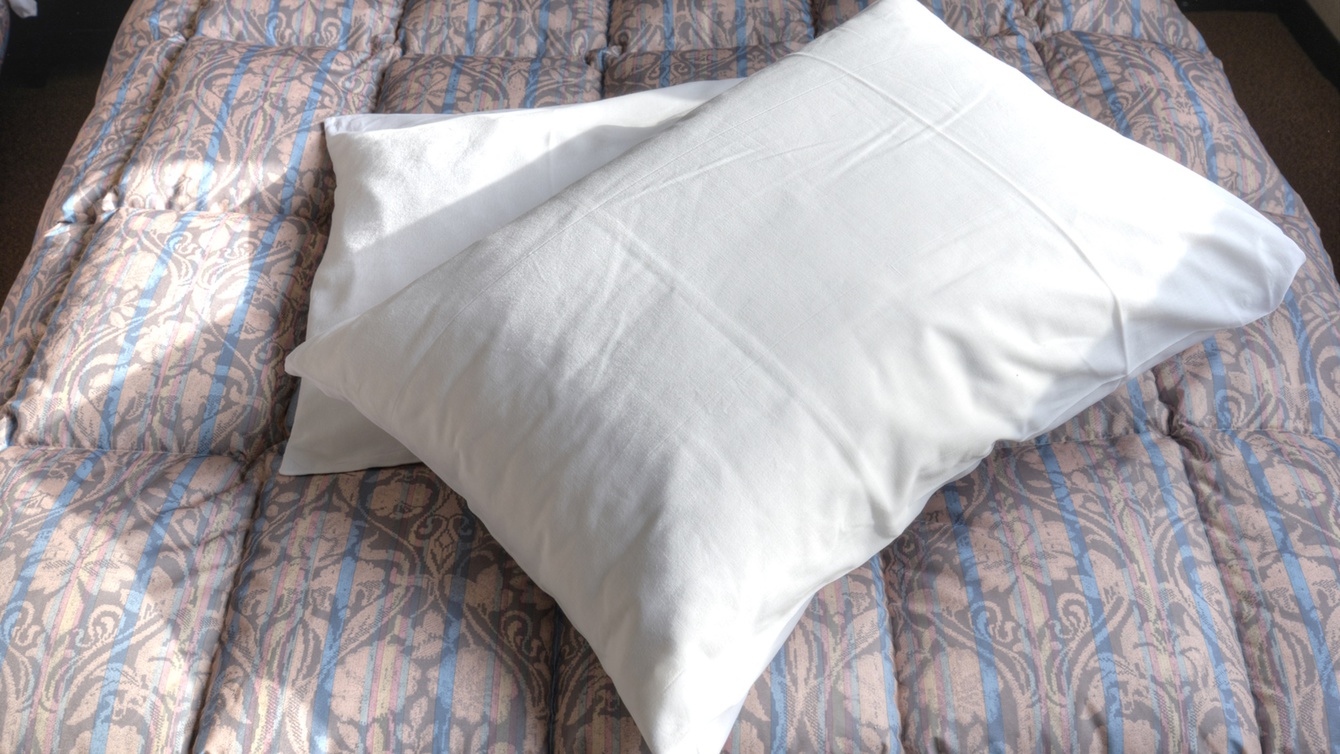 *3種貸出し枕/【低反発枕・レイヤード枕・パイプ枕】の3種からお好きな枕をお選びいただけます。