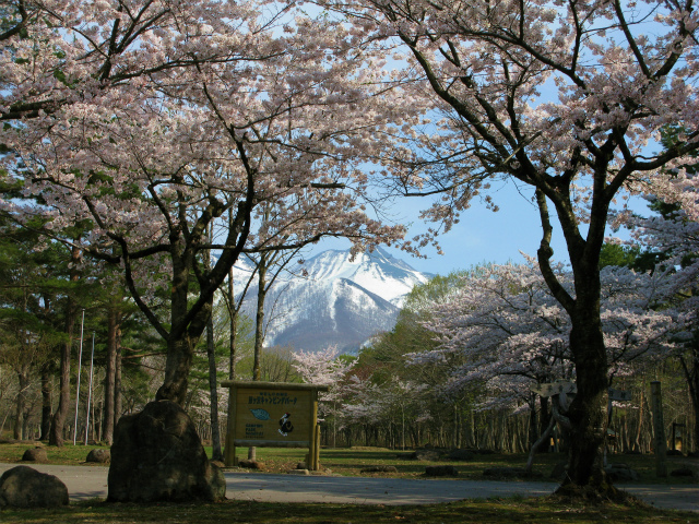 春のキャンプ場