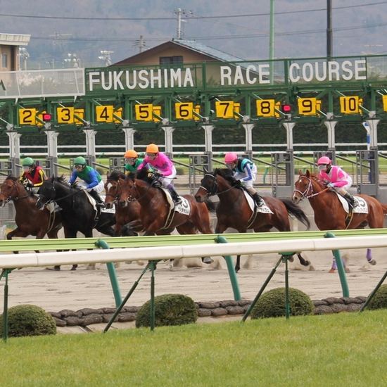 観光地：福島競馬場中央競馬が開催される全国10ヶ所のひとつにして東北唯一のＪＲＡ競馬場。