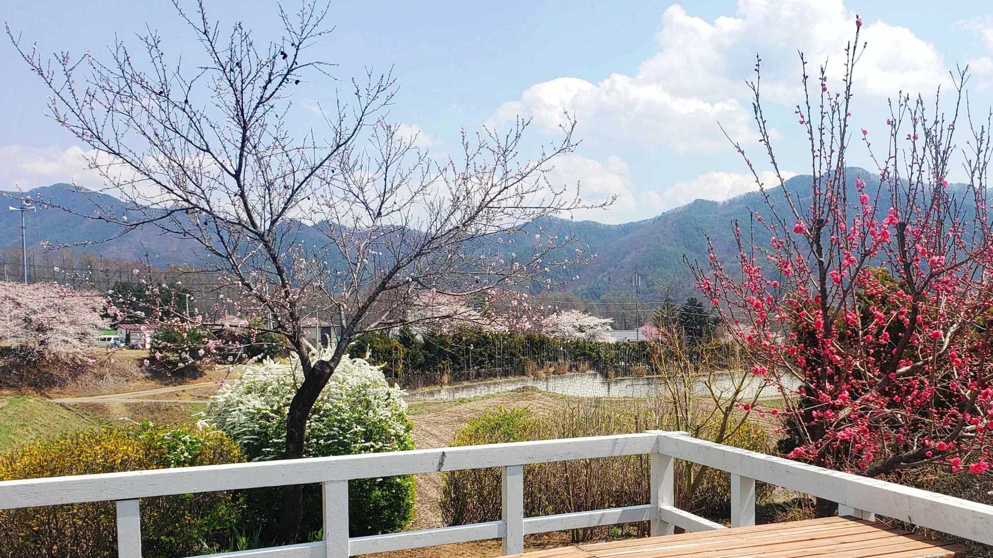 【館外】テラスからの眺め。春は花桃、桜、雪柳などたくさんの花が目を楽しませてくれます。