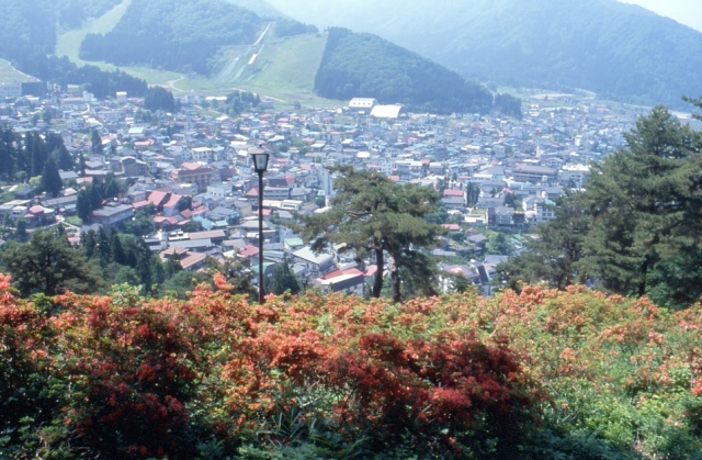 つつじ山から臨む野沢温泉村