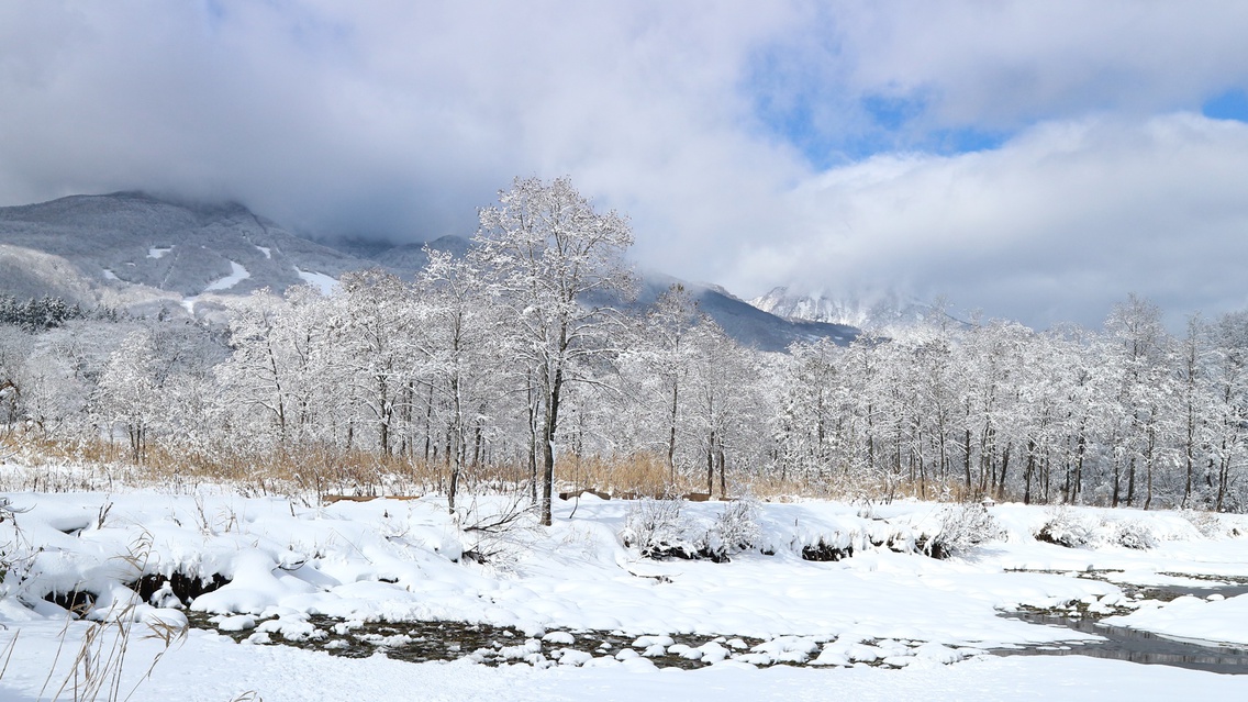 *周辺観光／イモリ池冬の風景