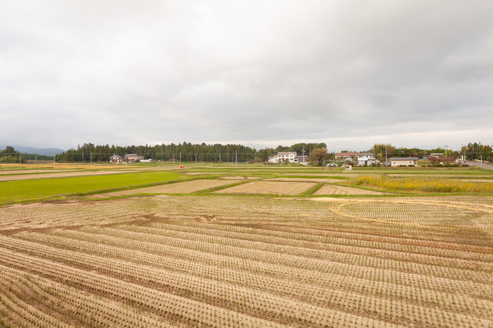 田園風景