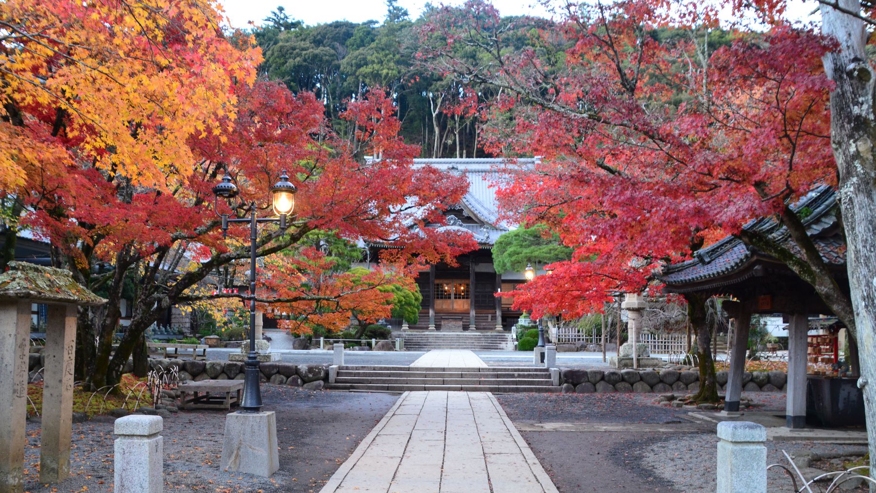 【周辺観光】修善寺