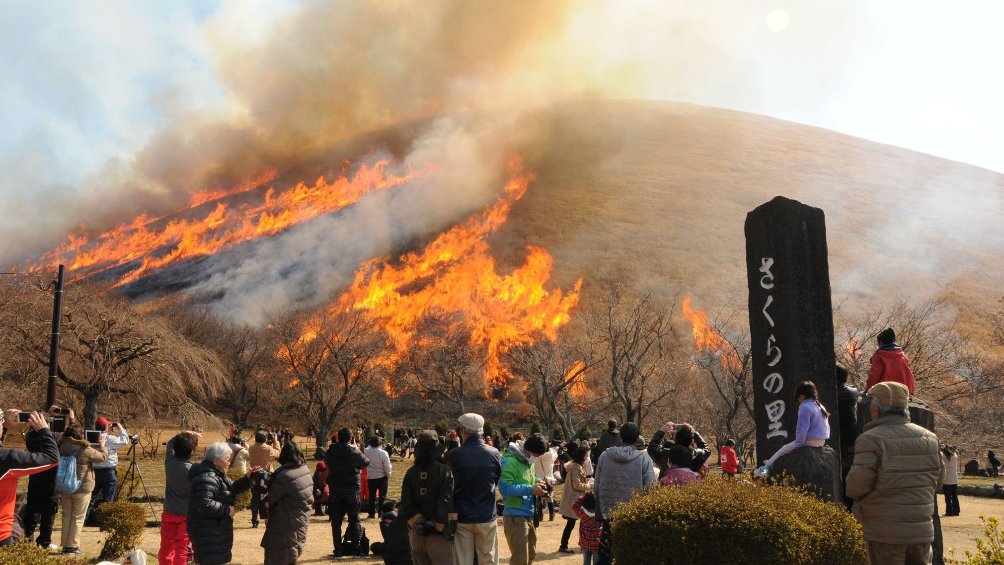 【周辺観光】大室山（写真提供：伊東市観光課）