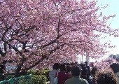 熱川温泉　絶景と露天風呂の宿　たかみホテル 写真4