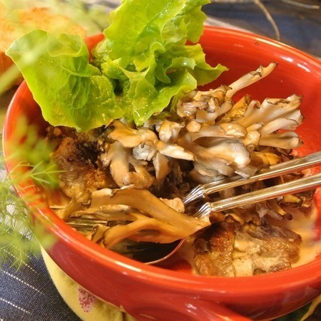 【メイン＊日替わり】〜牛ヒレ肉と舞茸のクリーム煮〜リピーター様からリクエストNo１の人気メニュー！