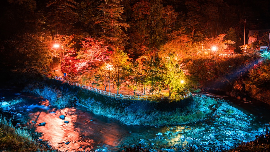 **中野もみじ山（紅葉）