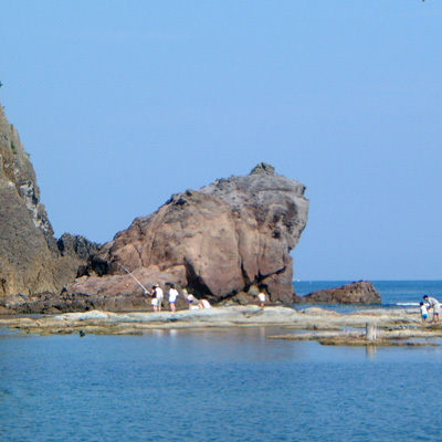 お金がカエル！恋人カエル！祈願してください♪今子浦のカエル島。