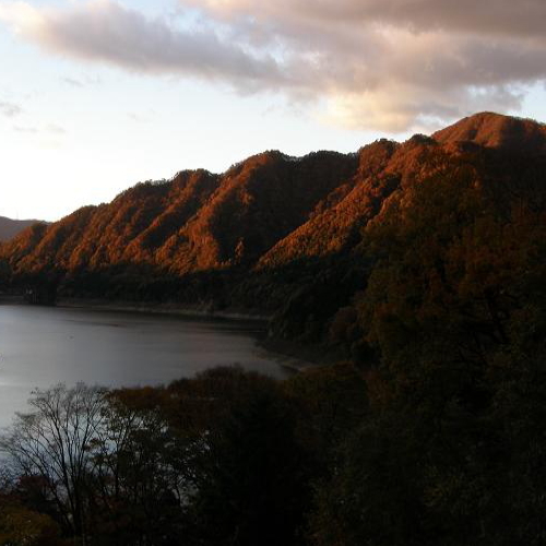 晩秋の情景