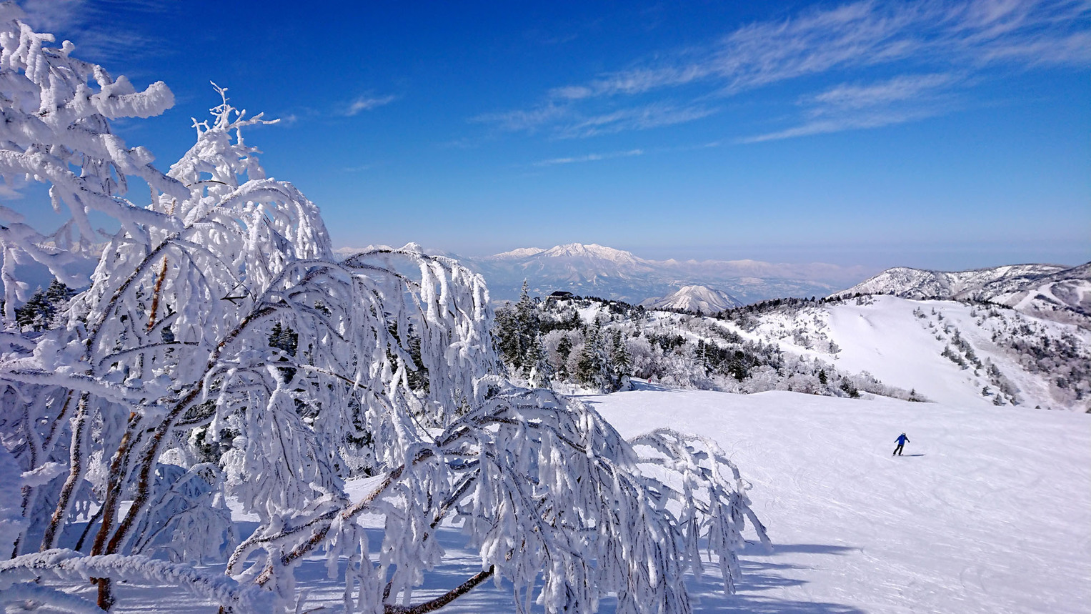 【冬／素泊まり】雪質抜群の志賀高原！自由気ままなスキー旅