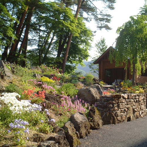 野草園