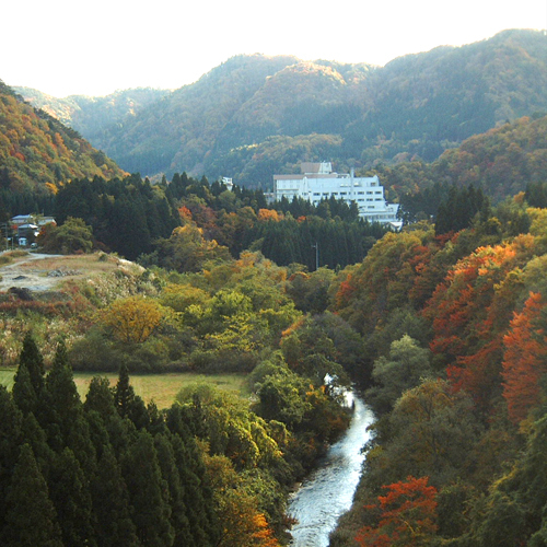 紅葉景観