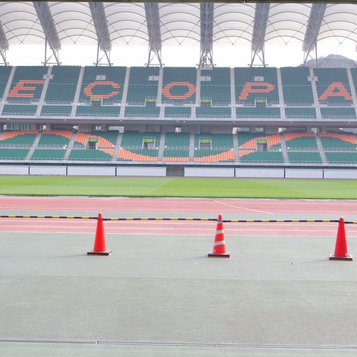 エコパスタジアム【ホテルより車で40分】