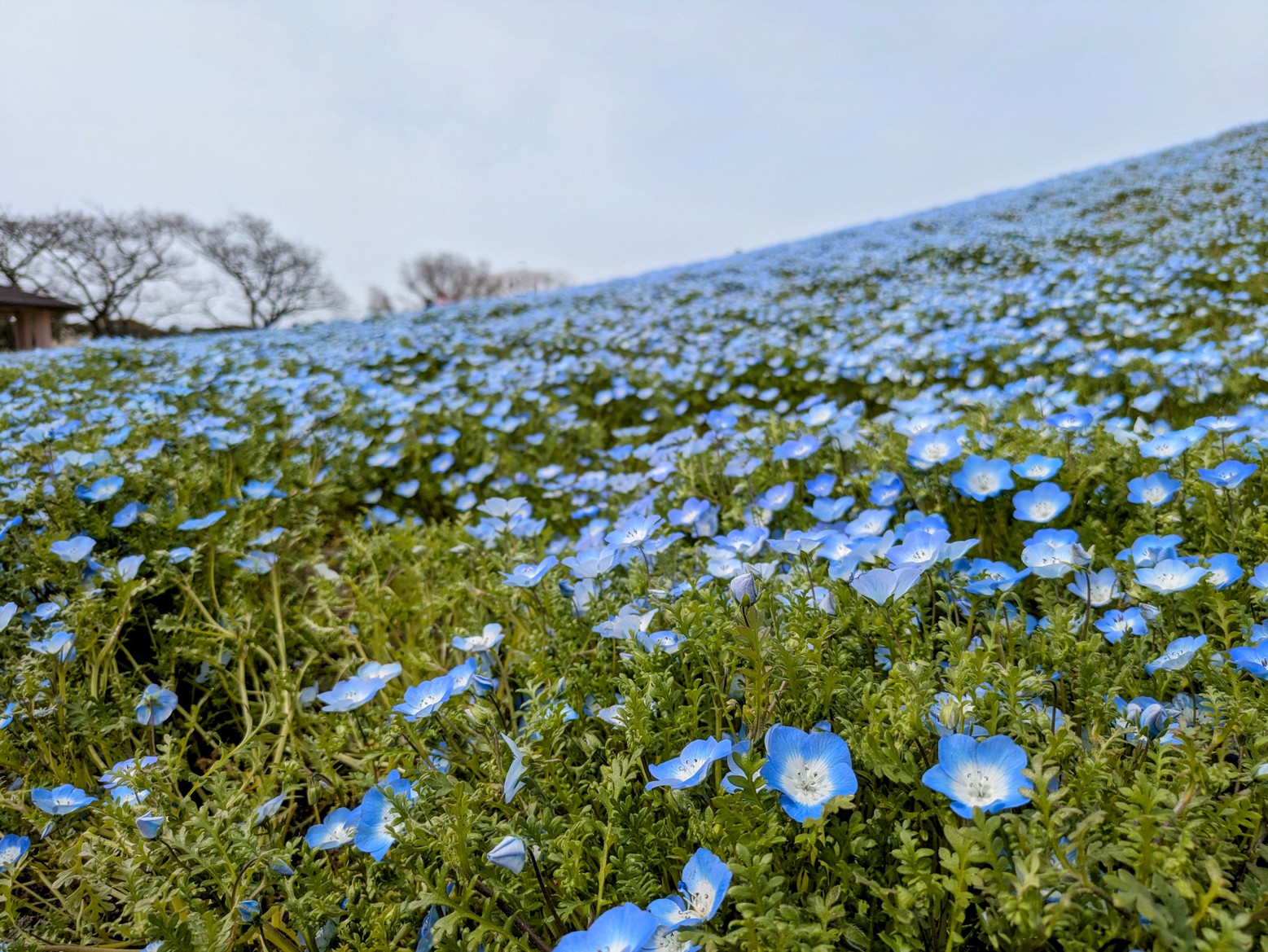 海の中道海浜公園