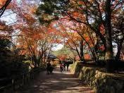 岡崎公園紅葉の散策風景