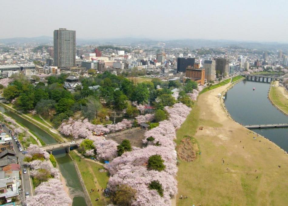 桜につつまれます。