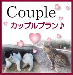 �����Ԍ��聙�J�b�v���v�����y�o�C�L���O���H�����T�[�r�X�z