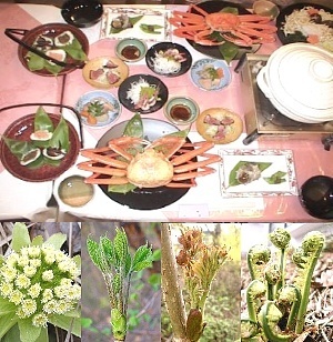 日本海の幸鍋とズワイ蟹&笹寿司、山菜