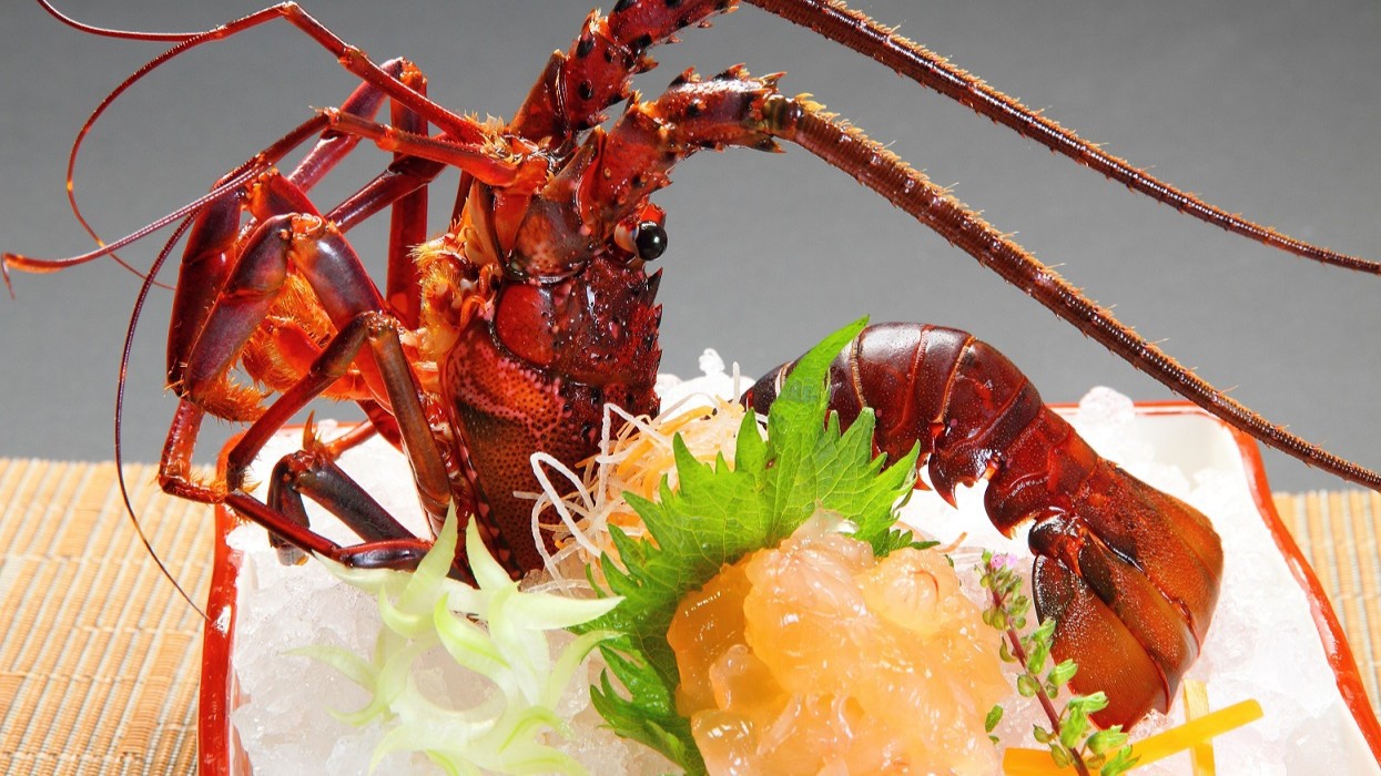 【リニューアル1周年記念10％OFF】〜伊勢海老・鮑！丸々1匹コース〜