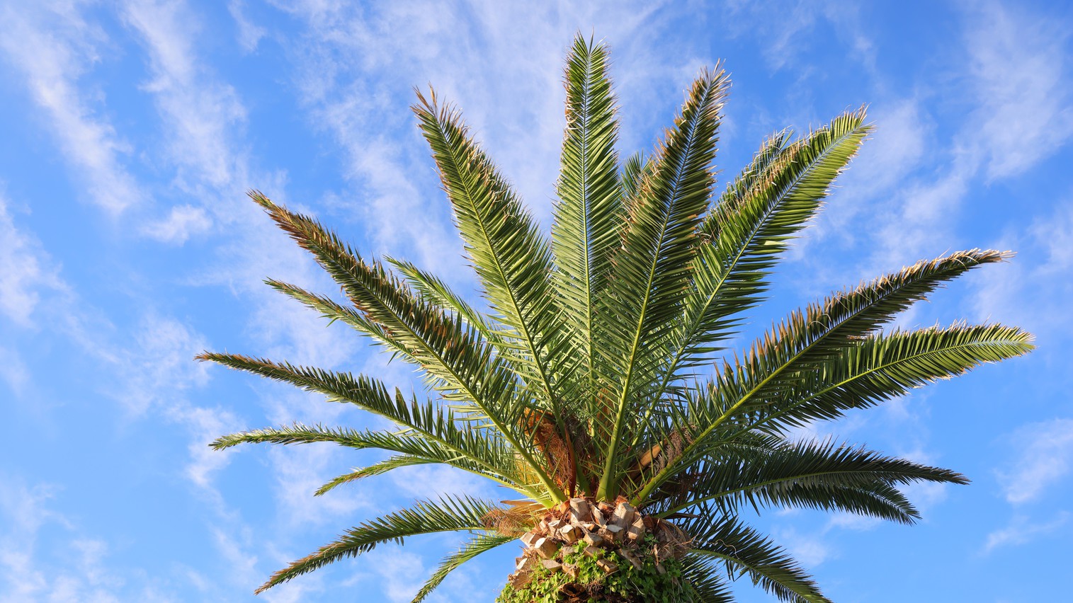 【家族旅行応援！ファミリープラン】〜９歳以下のお子様は無料でご招待！〜