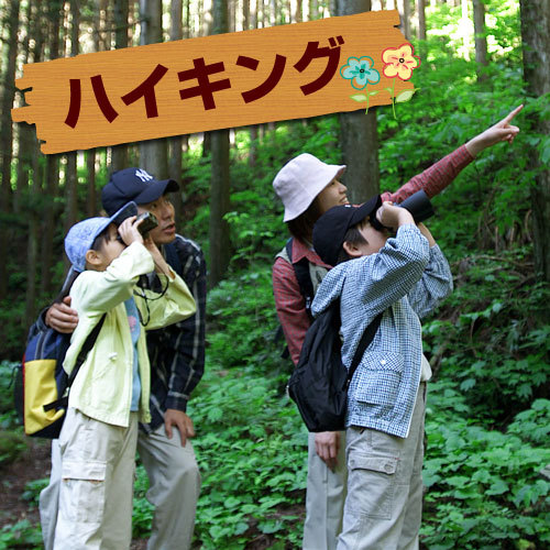 Yosei no Mori Cottage Laulu Image 3, Kitaakita, Japan