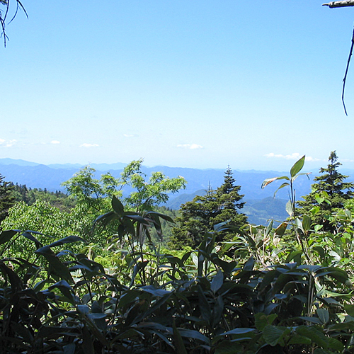 *森吉山/豊かな自然の中を散策（風景一例）