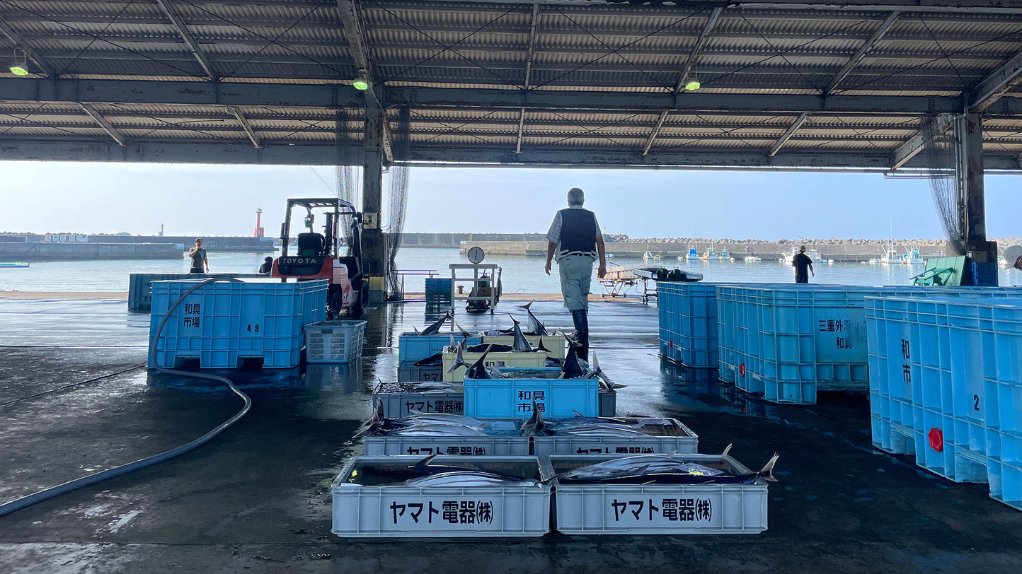 社長が魚屋