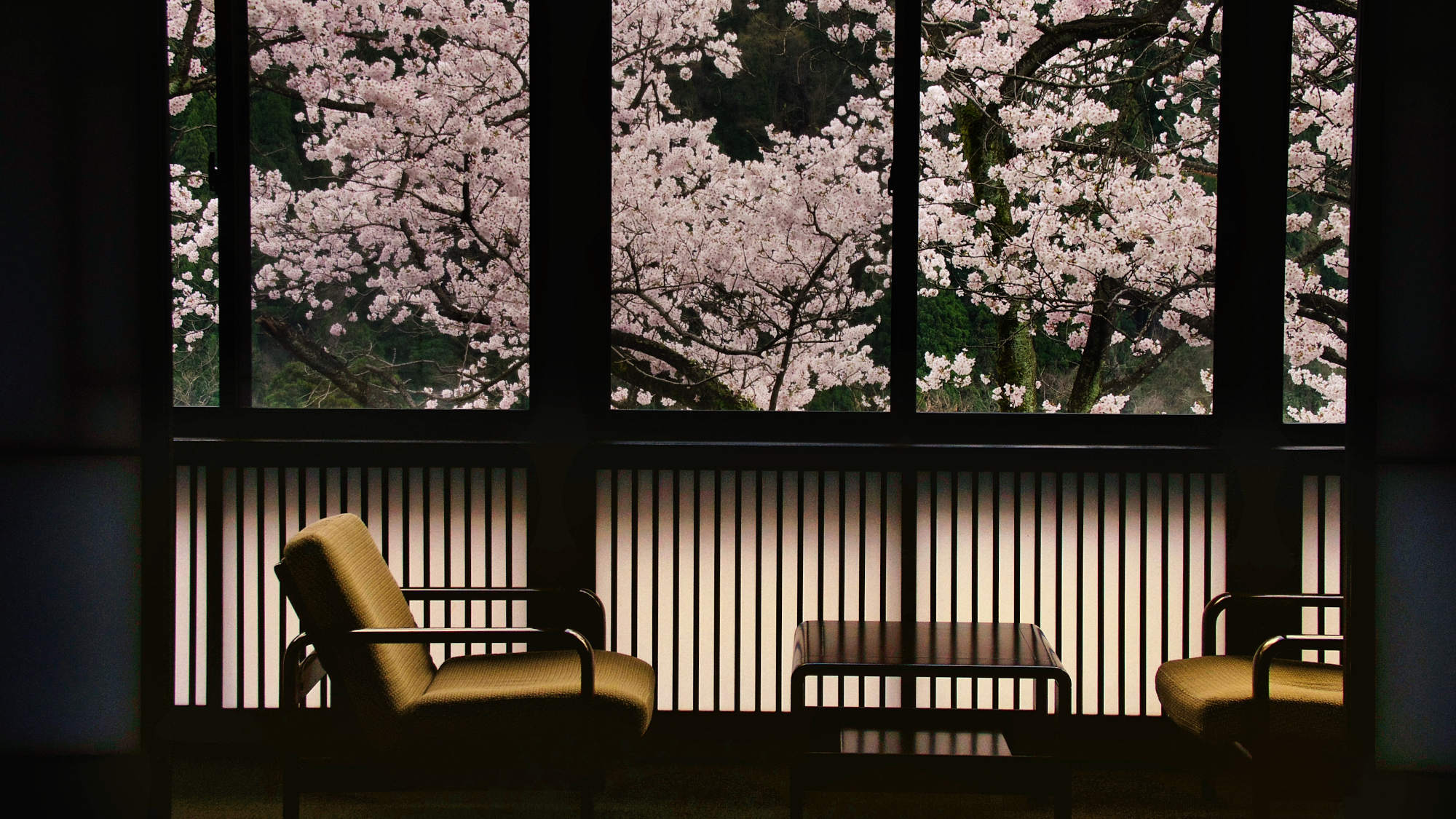 ・「和モダン客室10畳〜」のお部屋からの桜の眺望（見ごろは4月上旬です）