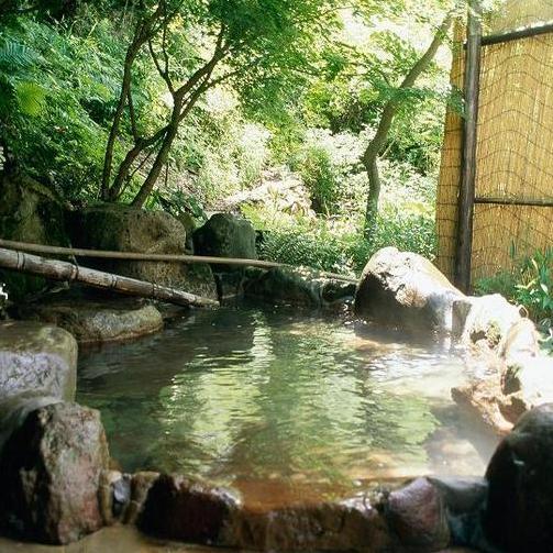 Sujiyu Onsen Kujyu Iyashi no Sato Hotel Dai Kogen Image 5, Kokonoe, Japan