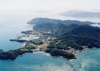 瀬戸芸本島